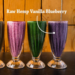 Raw Hemp Vanilla Blueberry Smoothie